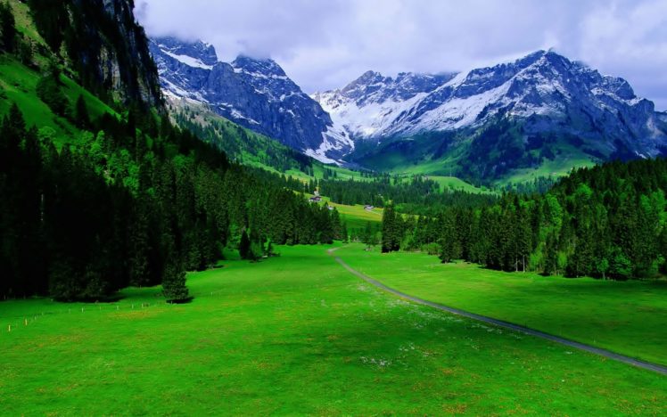 alps, Mountains, Snow, Foliage, Trees, Road HD Wallpaper Desktop Background