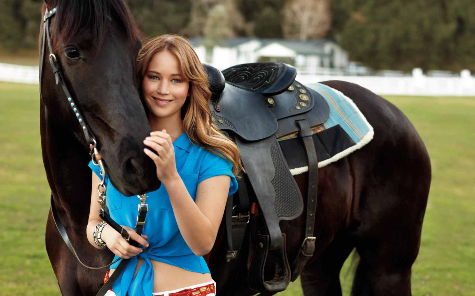 blondes, Women, Actress, Animals, People, Horses, Jennifer, Lawrence, Blue, Dress, Girls, With, Horses Wallpaper