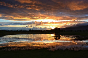 evening, Lake, Swamp, Sunset, Clouds, Reflection