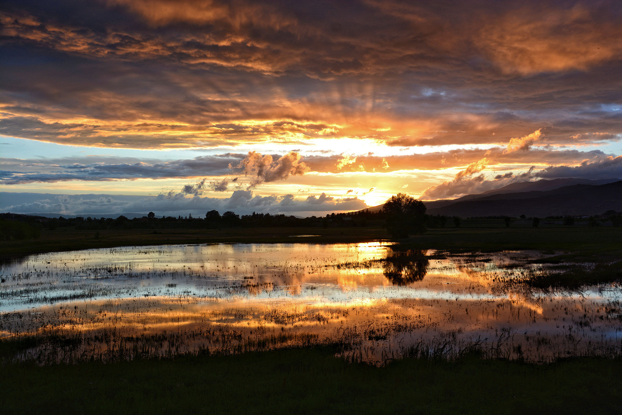 evening, Lake, Swamp, Sunset, Clouds, Reflection Wallpaper