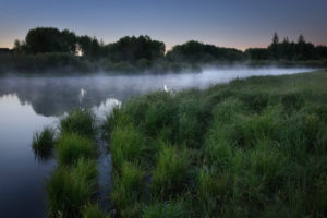 fog, Morning, Dawn, Grass, Forest, Lake