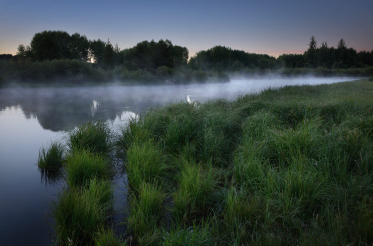 fog, Morning, Dawn, Grass, Forest, Lake HD Wallpaper Desktop Background