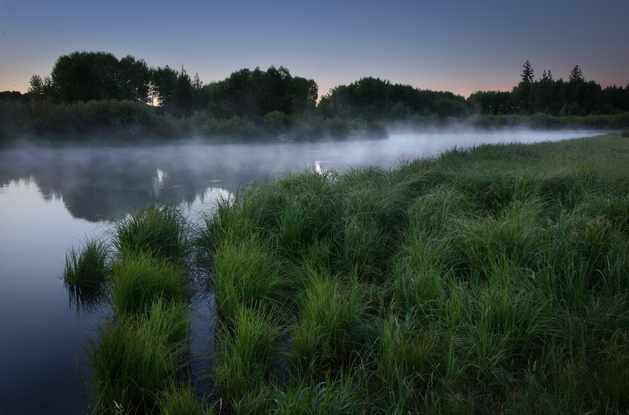 fog, Morning, Dawn, Grass, Forest, Lake Wallpaper