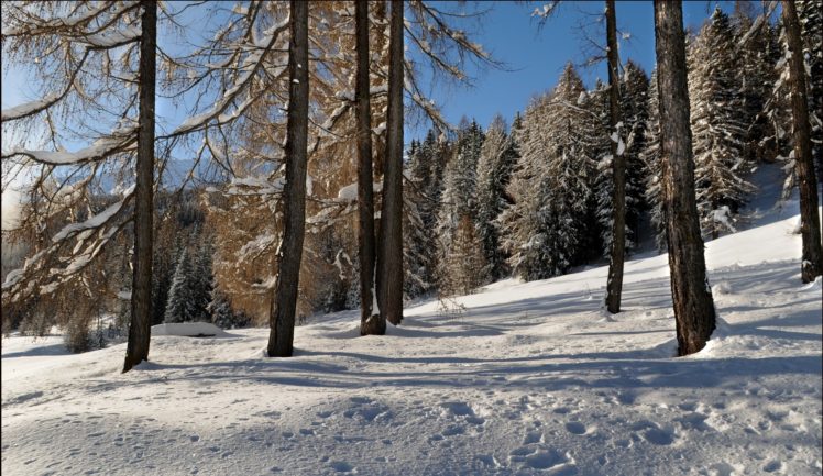 forest, Winter, Snow, Drifts, Landscape HD Wallpaper Desktop Background