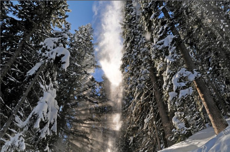 forest, Winter, Snow, Landscape HD Wallpaper Desktop Background