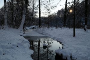 forest, Winter, Trees, Ditches, Landscape, Snow, River