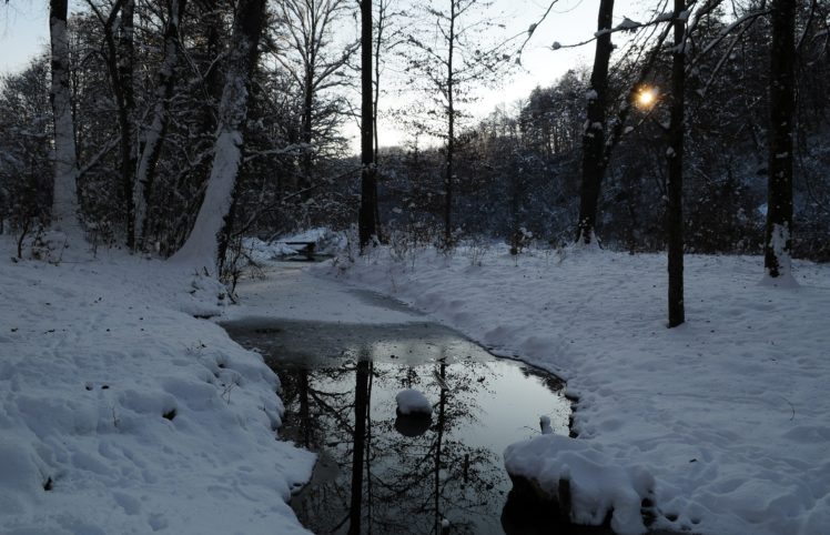 forest, Winter, Trees, Ditches, Landscape, Snow, River HD Wallpaper Desktop Background