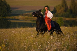 kiev, Ukraine, Man, Horse, Field, Mood