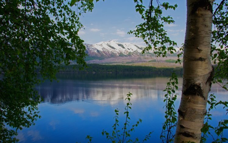 lake, Mountain, Birch, Branches, Landscape HD Wallpaper Desktop Background