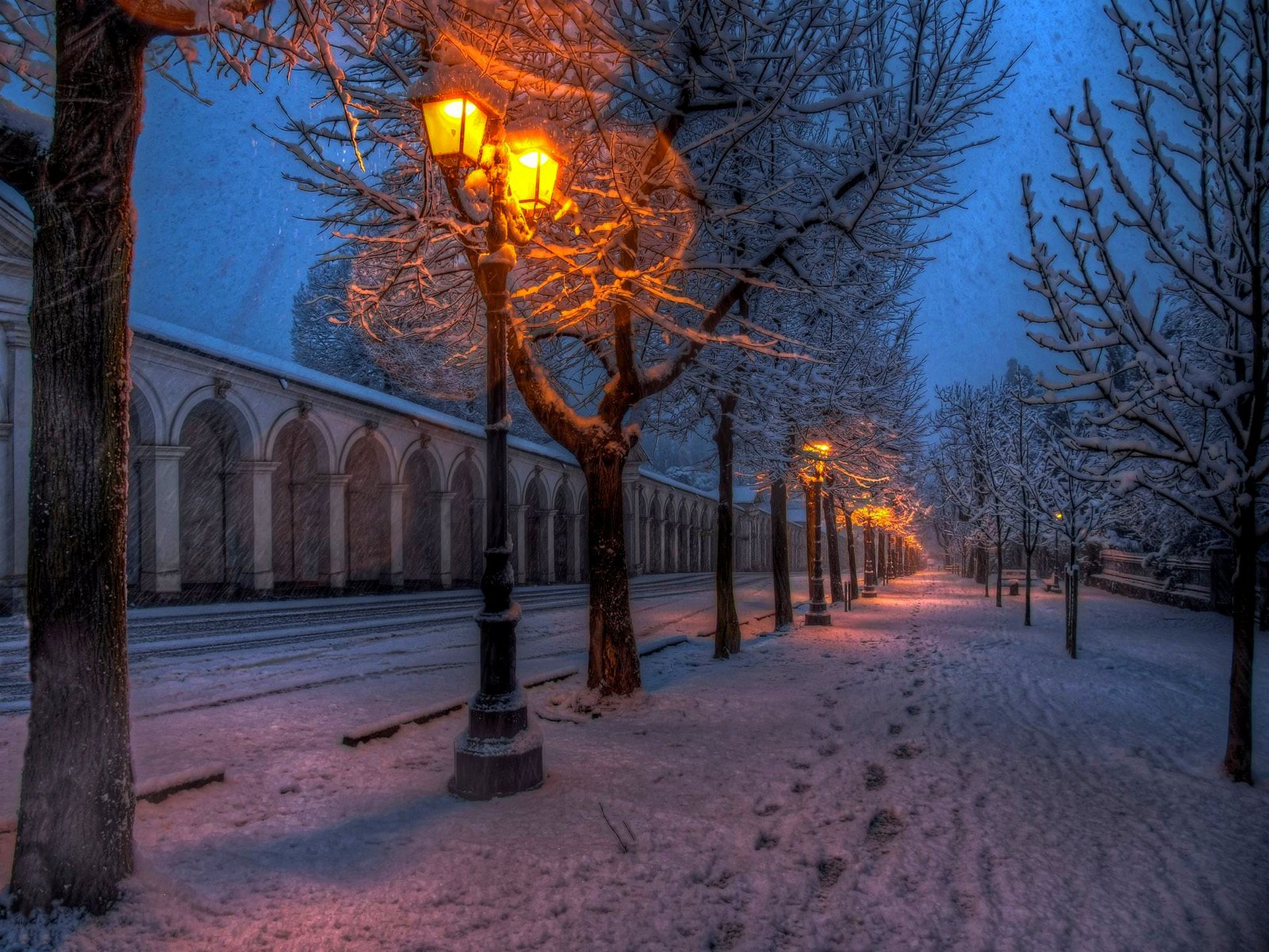 nature, Park, Street, Road, Path, Walk, Winter, Snow, Lights, Trees Wallpaper