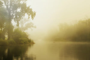 summer, Fog, Lake, Morning, Forest, Mood