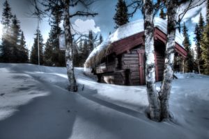 winter, Trees, Snow, Drifts, House, Landscape