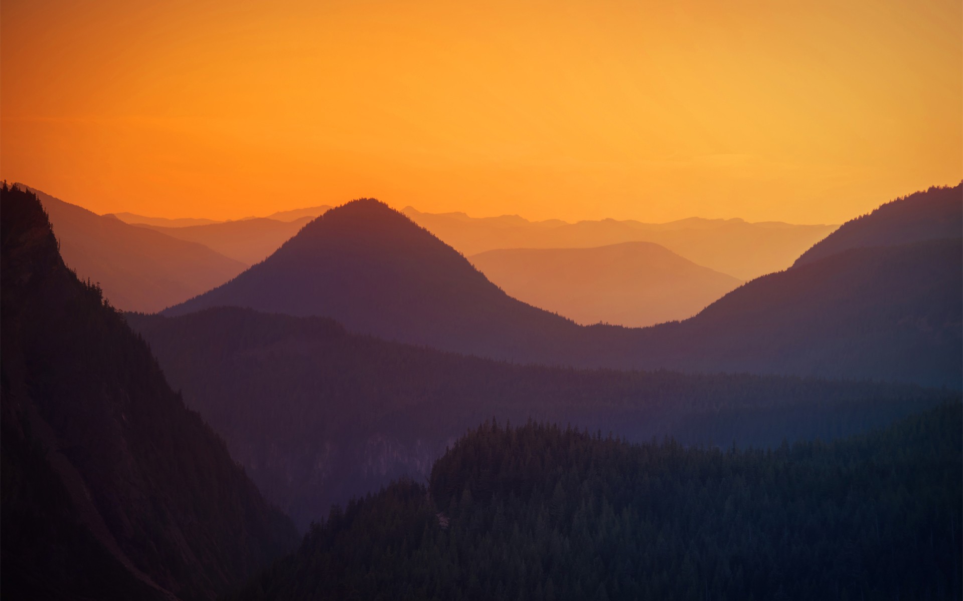 nature Wallpaper