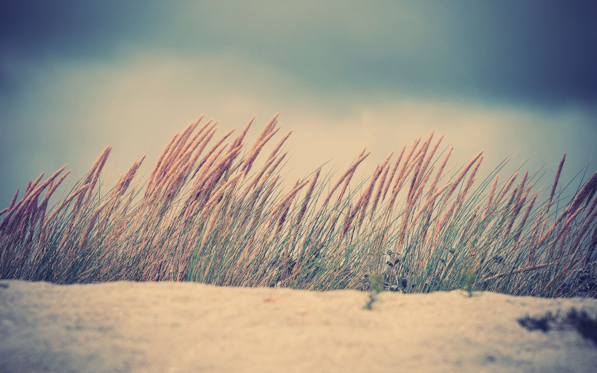 landscapes Wallpaper