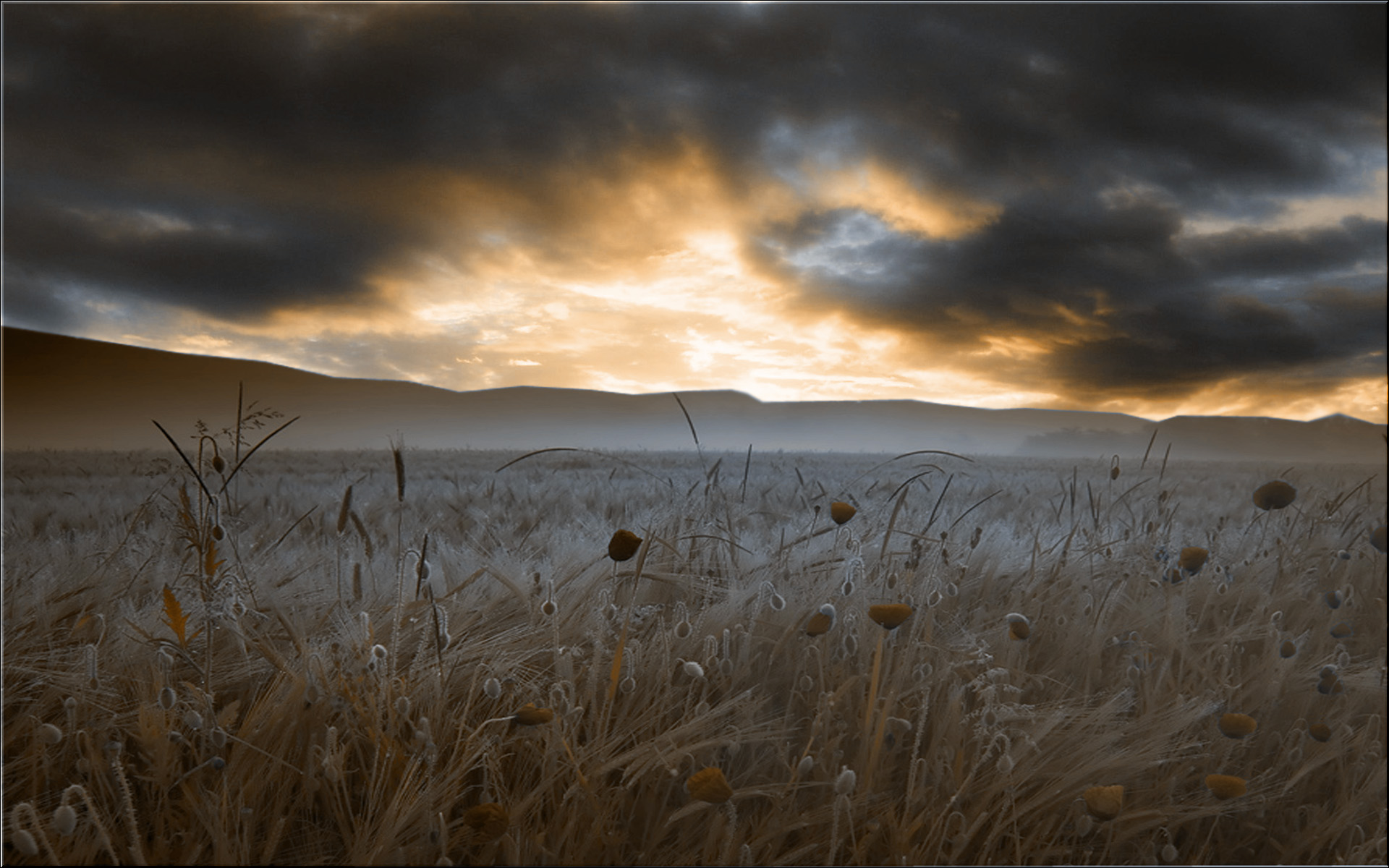 clouds, Landscapes, Flowers, Fields, Digital, Art, Artwork, Poppy Wallpaper