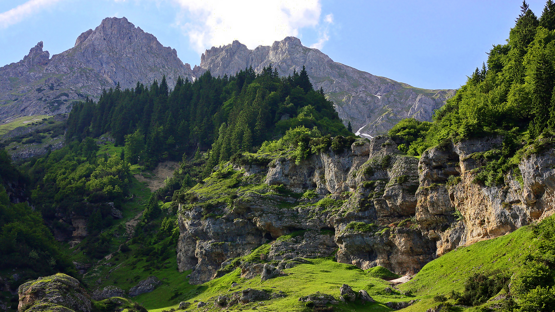 mountains, Landscapes, Forests Wallpaper