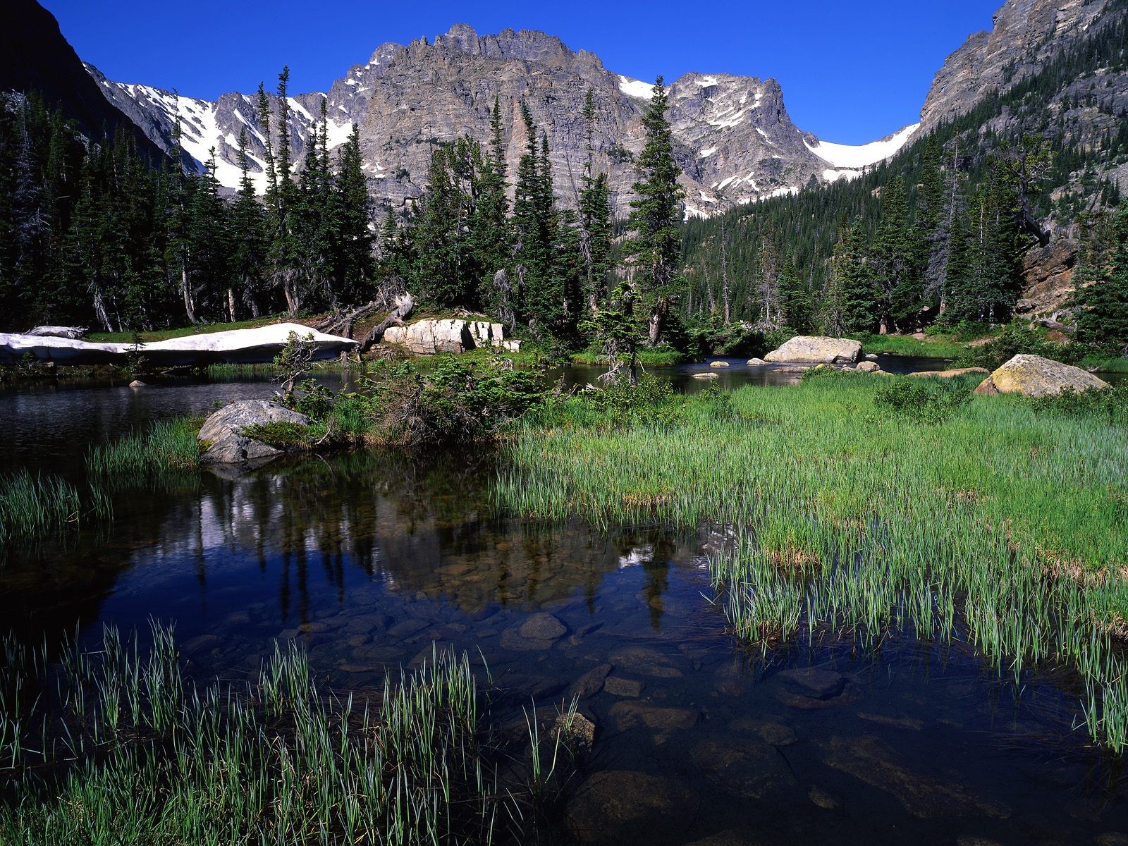 nature Wallpaper
