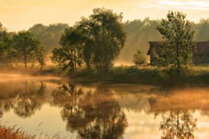 landscapes, Nature, Trees, Houses, Rivers