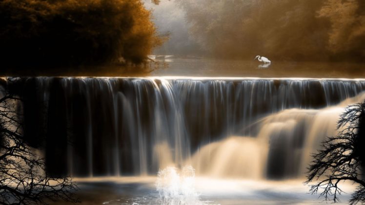 nature, Autumn, Birds, Waterfalls HD Wallpaper Desktop Background