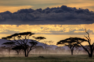 clouds, Landscapes, Serengeti