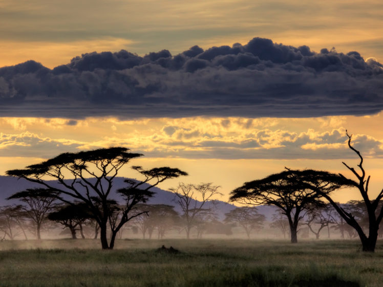 clouds, Landscapes, Serengeti HD Wallpaper Desktop Background