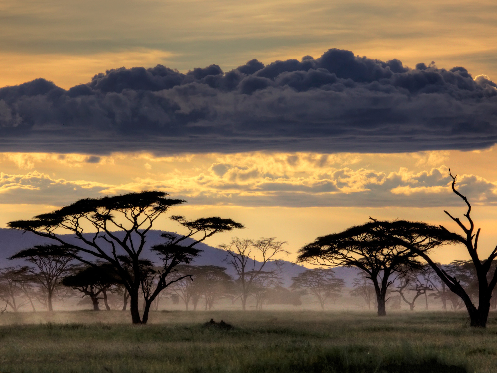 clouds, Landscapes, Serengeti Wallpaper
