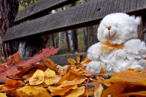 trees, Autumn, Leaves, Bench, Teddy, Bears, Loneliness