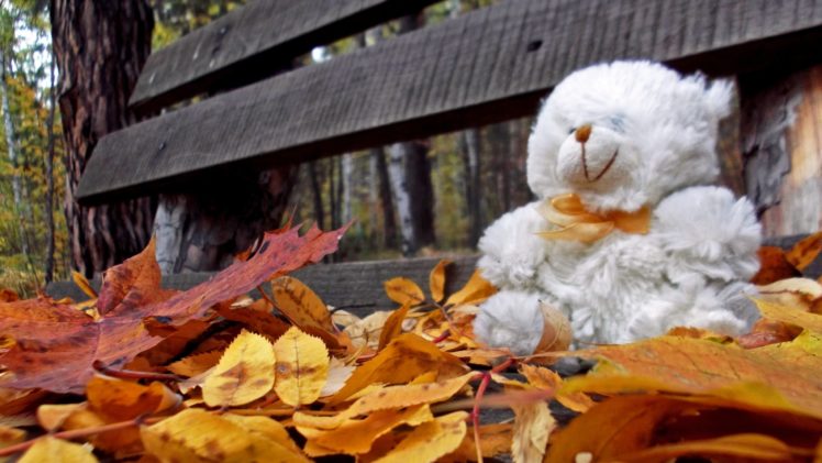trees, Autumn, Leaves, Bench, Teddy, Bears, Loneliness HD Wallpaper Desktop Background