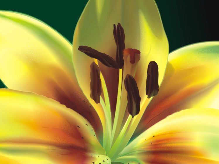 nature, Flowers, Plants HD Wallpaper Desktop Background