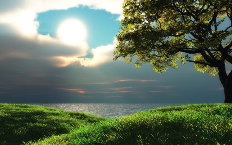 clouds, Landscapes, Trees, Sunlight HD Wallpaper Desktop Background