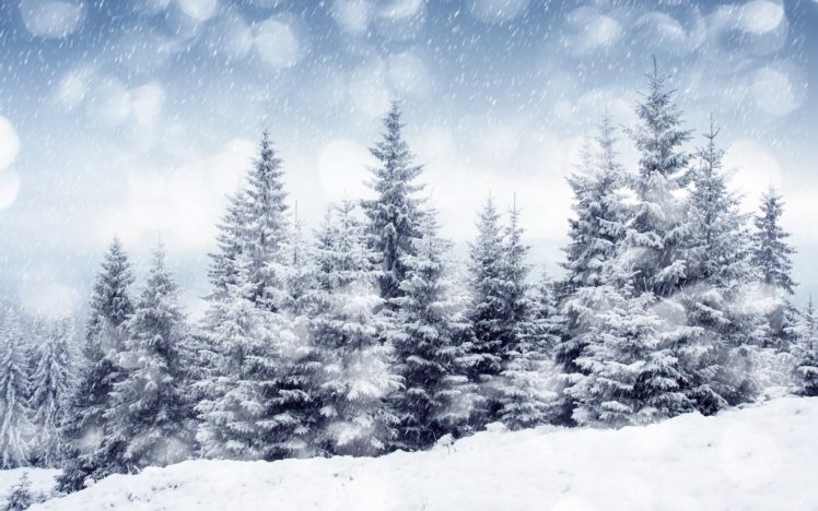 landscapes, Nature, Winter, Snow, Trees HD Wallpaper Desktop Background
