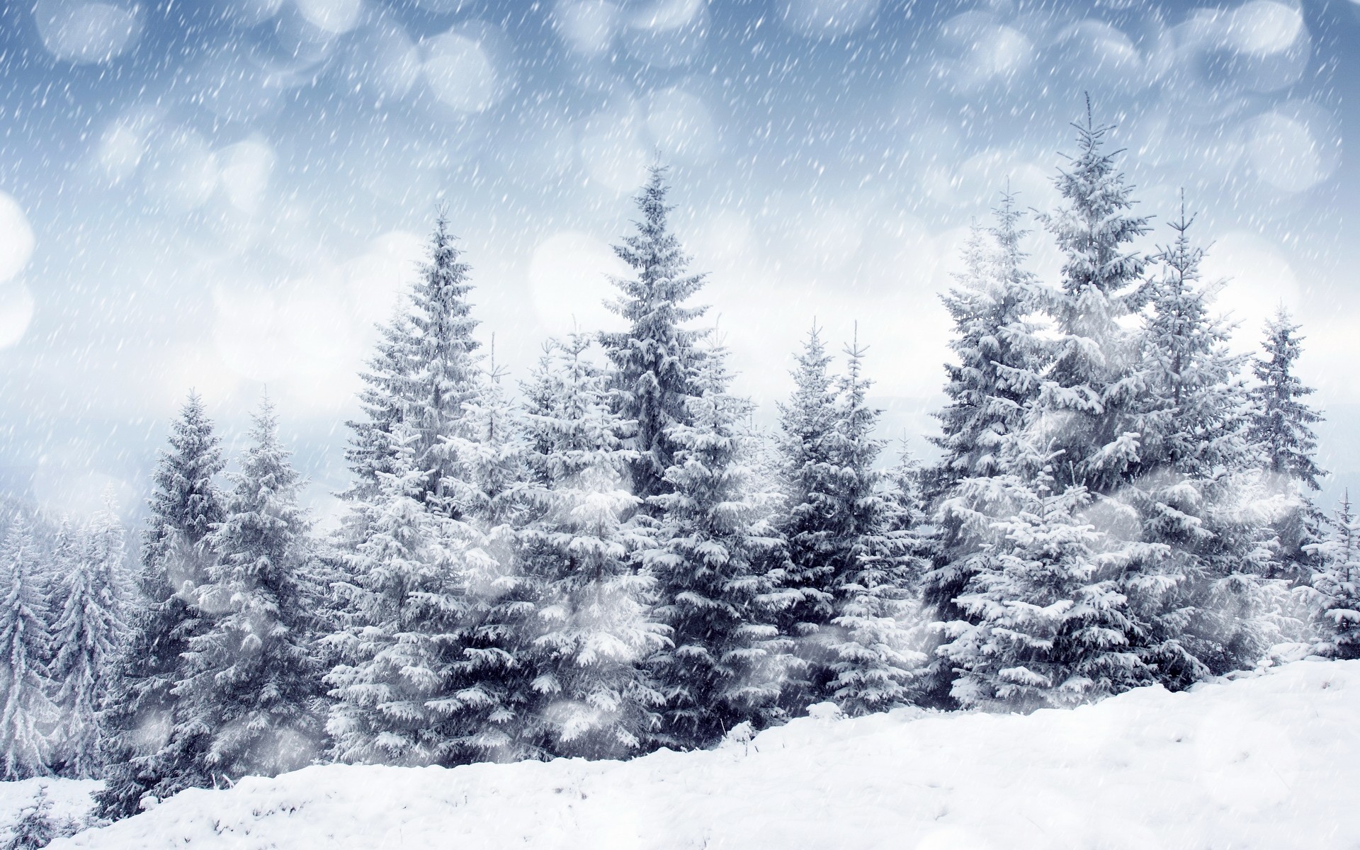 landscapes, Nature, Winter, Snow, Trees Wallpaper