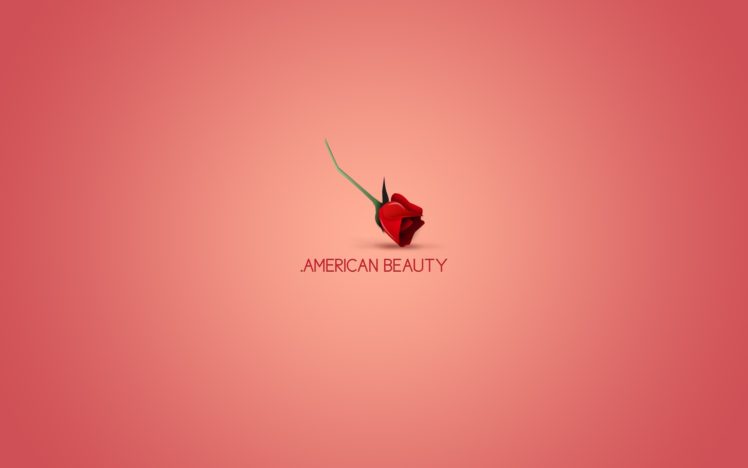 minimalistic, Movies, American, Beauty HD Wallpaper Desktop Background