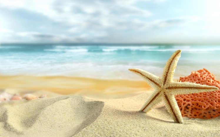 ocean, Sand, Stars, Starfish, Sea, Beaches HD Wallpaper Desktop Background