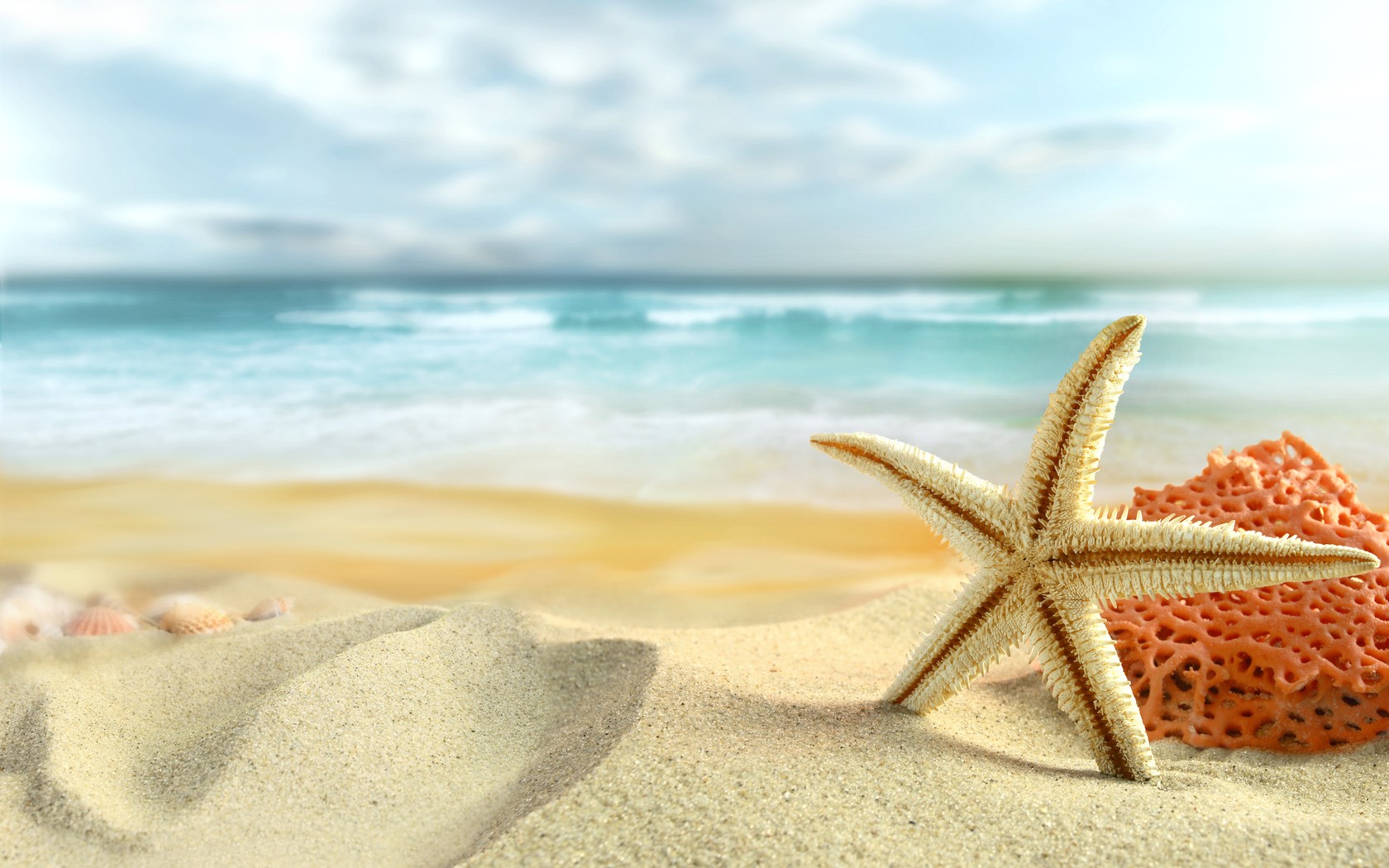 ocean, Sand, Stars, Starfish, Sea, Beaches Wallpaper