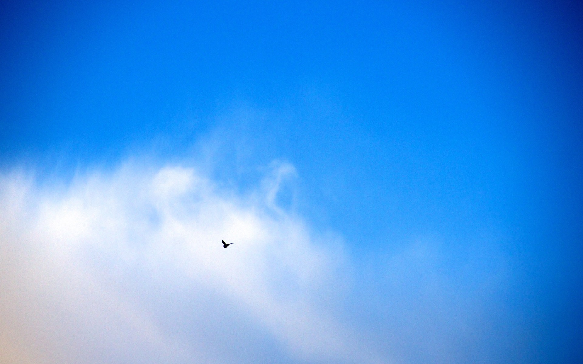 minimalistic Wallpaper