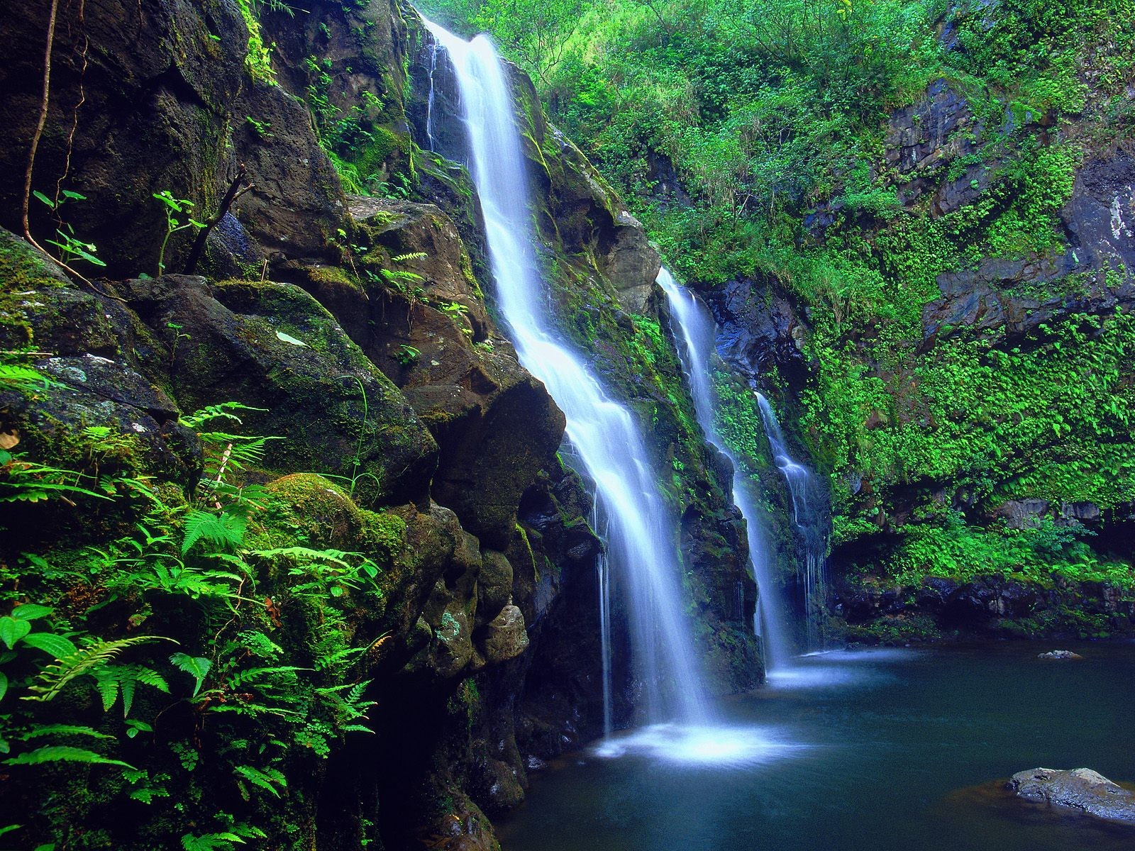 green, Nature, Waterfalls Wallpaper