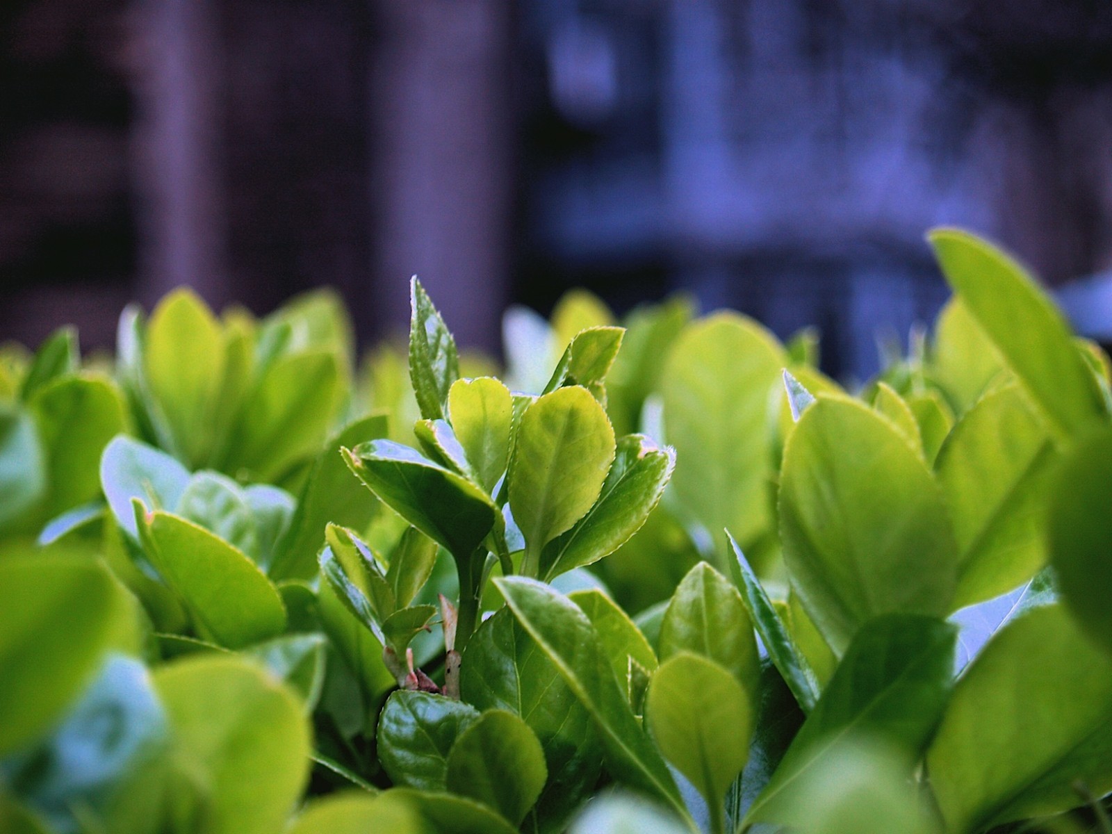 landscapes, Nature Wallpaper