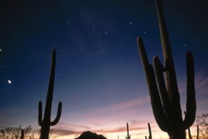 landscapes, Nature, Stars, Deserts, Arizona, National, Park