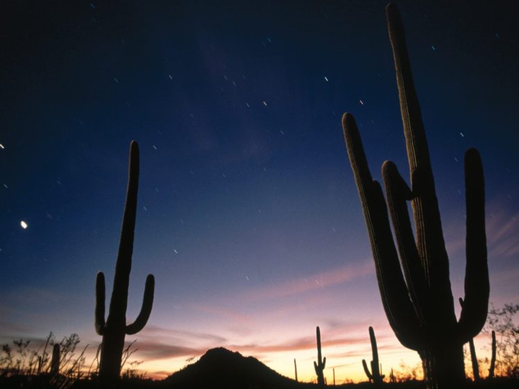 landscapes, Nature, Stars, Deserts, Arizona, National, Park HD Wallpaper Desktop Background