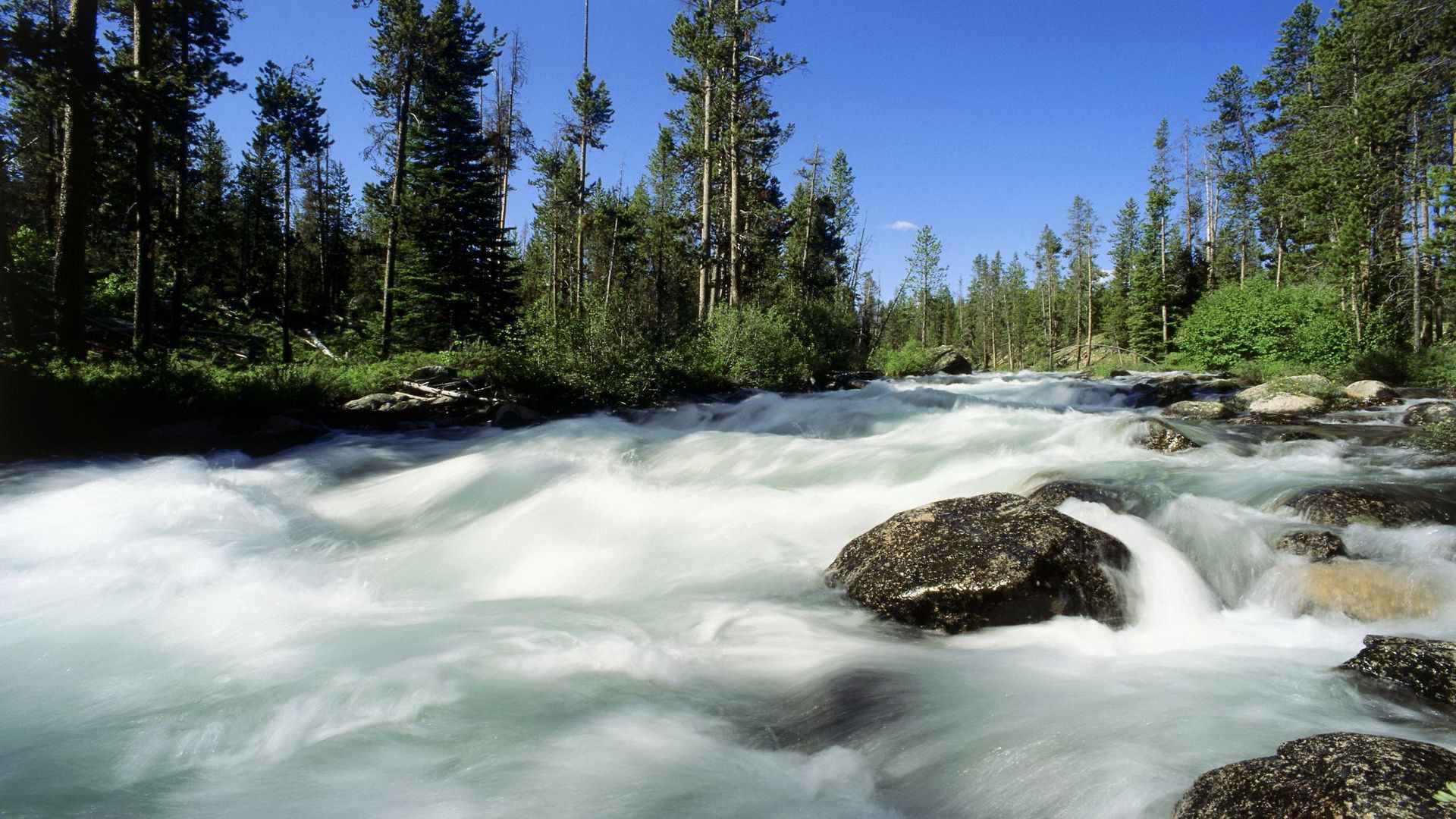 forests, Idaho, Rivers Wallpaper