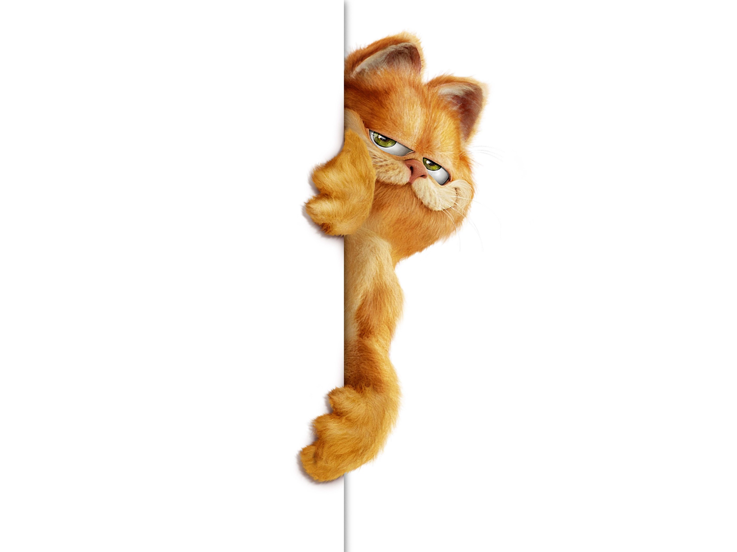 garfield Wallpaper