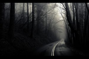 black, And, White, Landscapes, Trees, Fog, Mist, The, Mist, Roads, Monochrome, Path