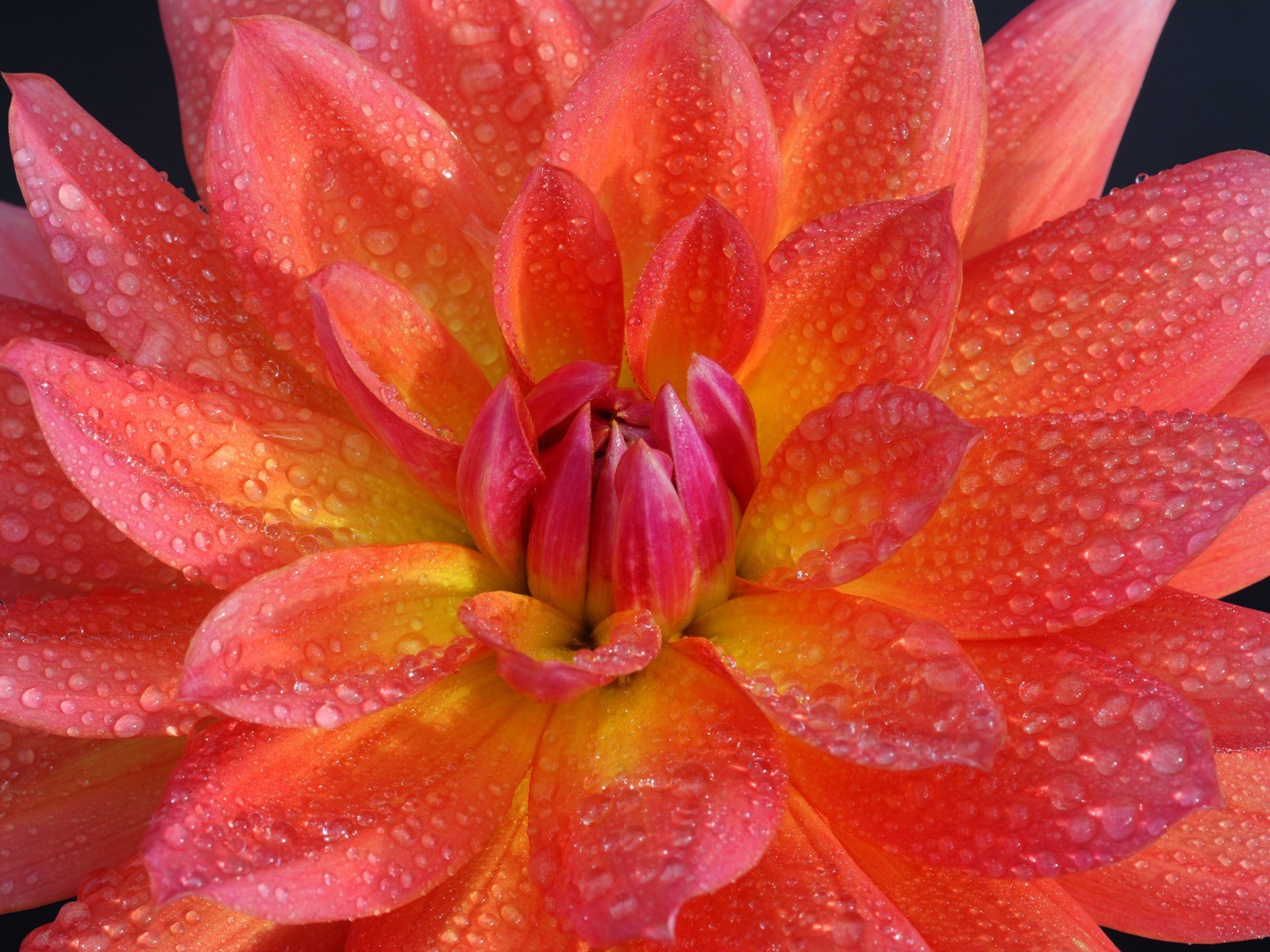 landscapes, Nature Wallpaper