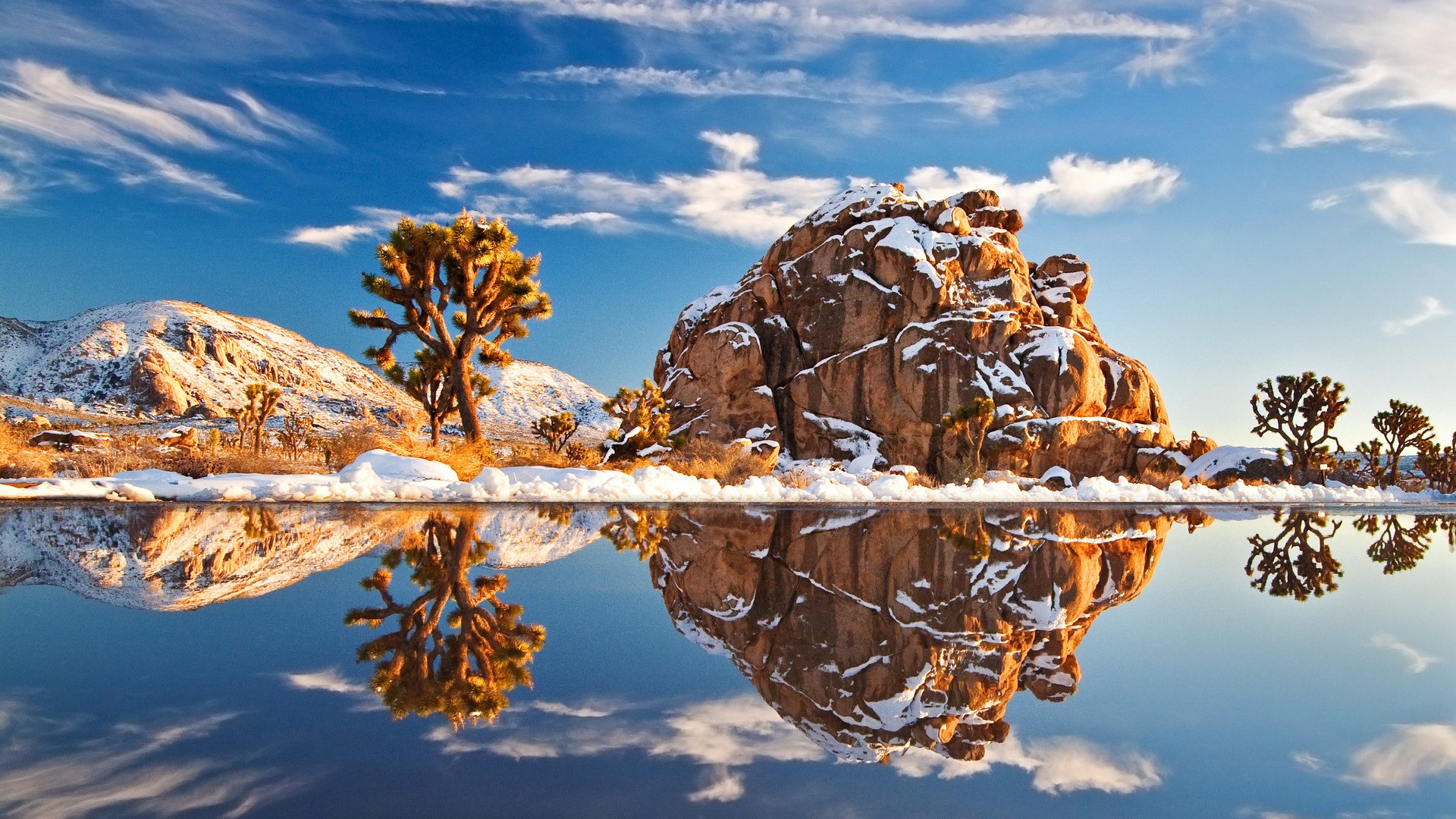 nature Wallpaper