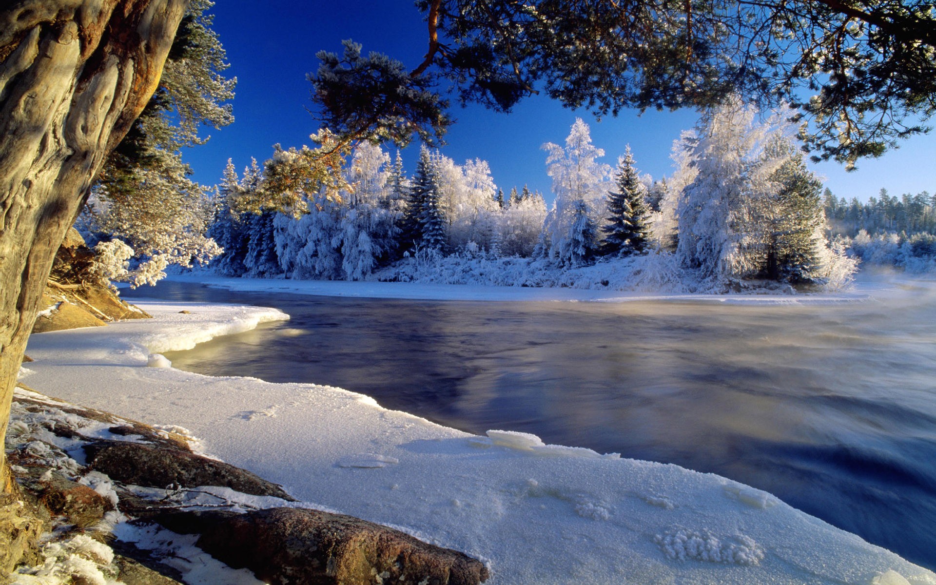 water, Landscapes, Nature, Snow, Trees Wallpaper