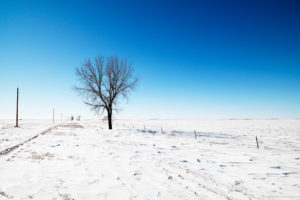 nature, Winter, Snow, Trees, Fields