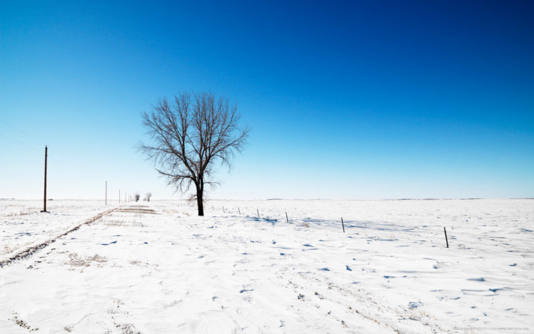 nature, Winter, Snow, Trees, Fields HD Wallpaper Desktop Background