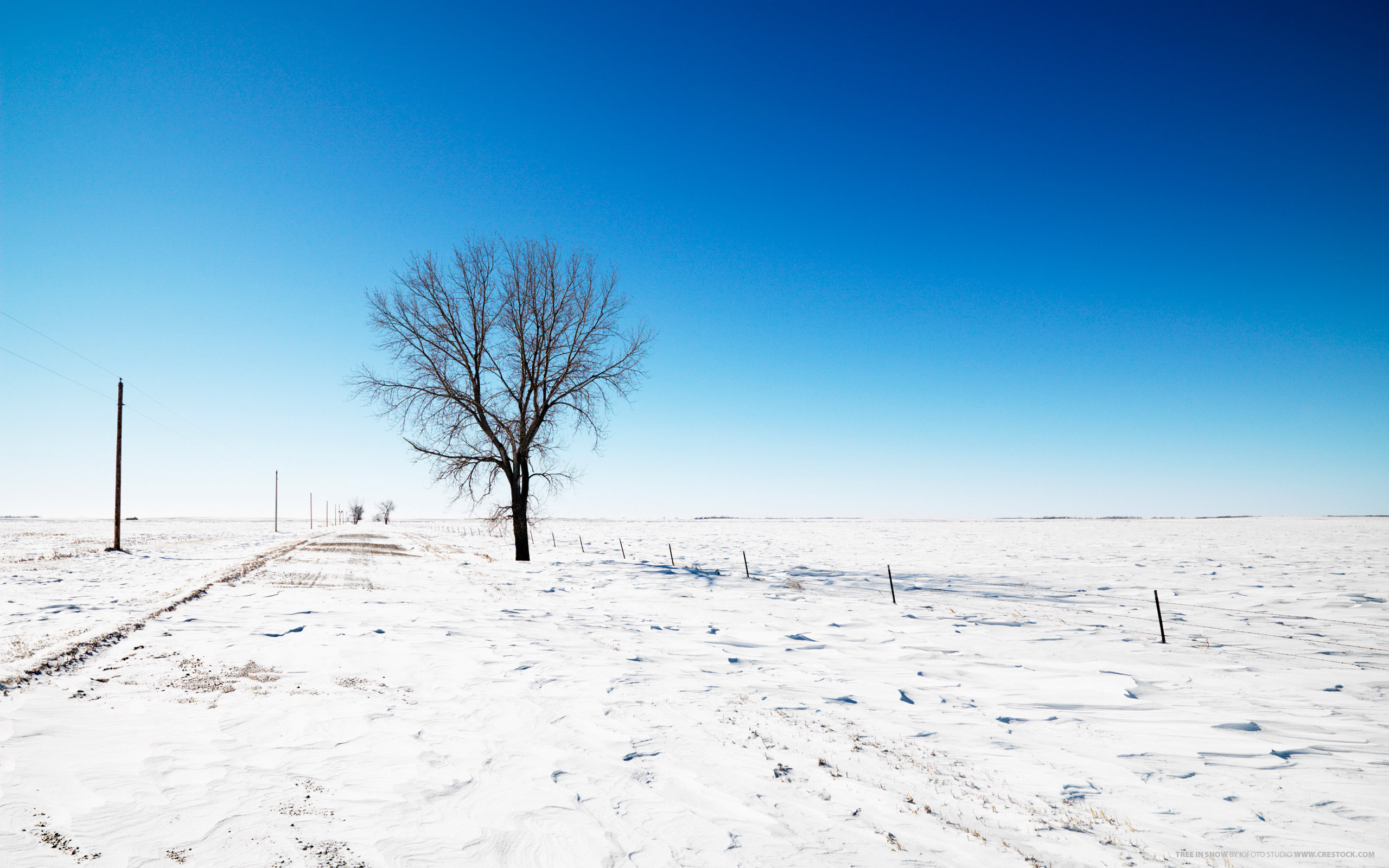 nature, Winter, Snow, Trees, Fields Wallpaper