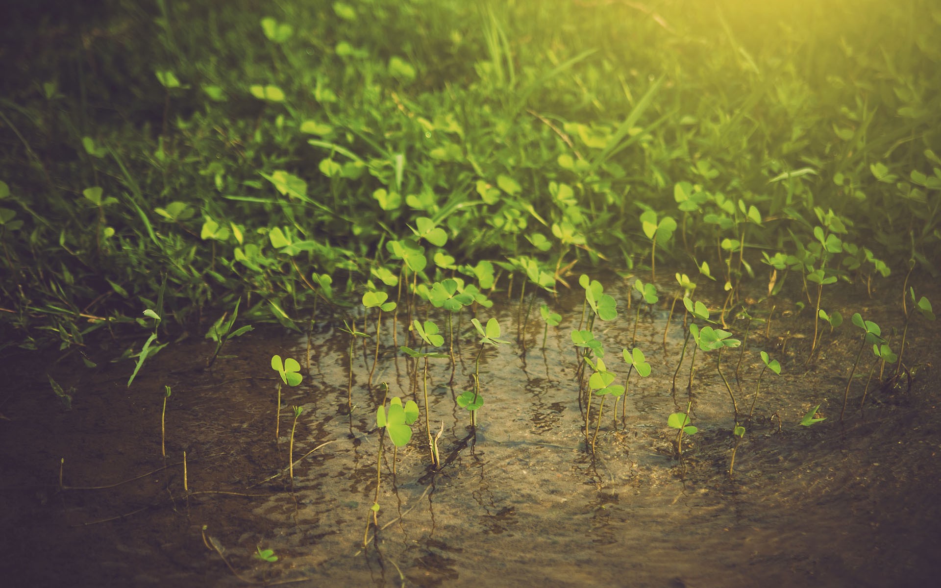 nature, Rivers Wallpaper